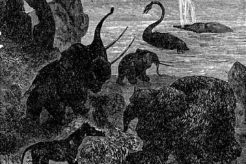 Fantasietiere auf Land, im Wasser und in der Luft