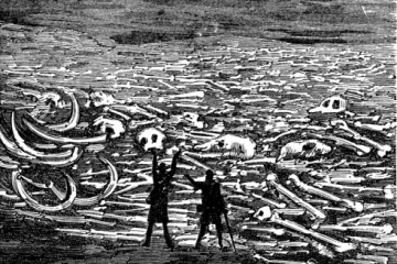 Zwei Männer vor einer weiten Ebene voller Knochen