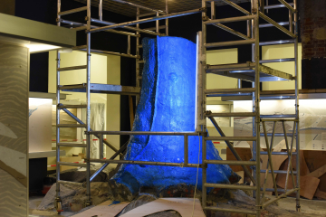 Wurzelstock mit Gerüst umgeben und UV-Licht bestrahlt während der Restaurierung