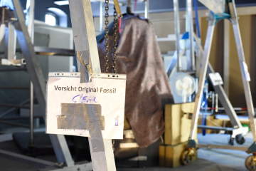 Gerüst für Restaurierung mit Warnschild Vorsicht Original Fossil