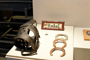 Zaumzeug für ein Pferd unter Tage in einer Ausstellung