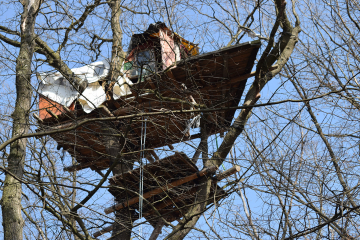 Baumhaus aus Holz in Baumkronen ohne Laub