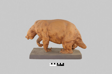 Gipsmodell eines Riesenfaulstiers von Josef Pallenberg, ca. 1927